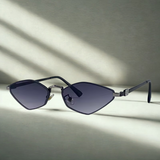 Small Frame Hexagon Sunglasses